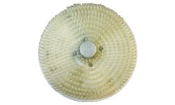 Диск моющий Kocateq PPHLP15washingdisk